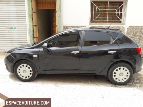 Ibiza Seat