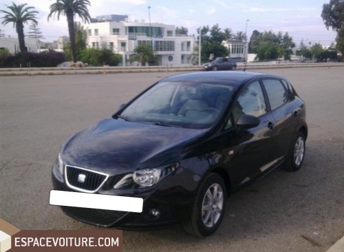 Ibiza Seat