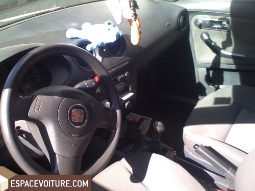 Ibiza Seat