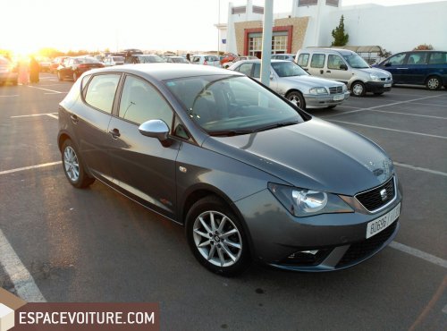 Ibiza Seat