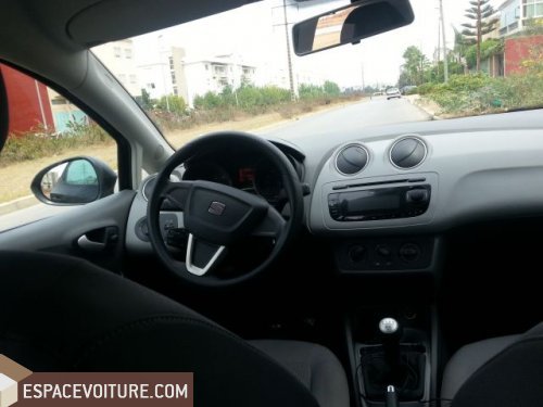 Ibiza Seat