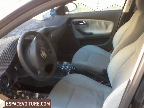 Ibiza Seat