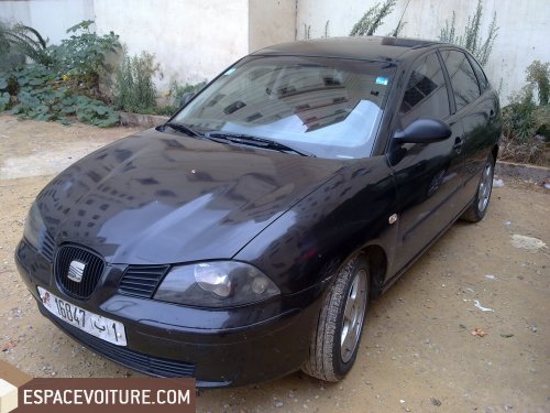 Ibiza Seat