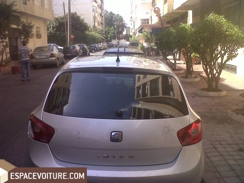 Ibiza Seat