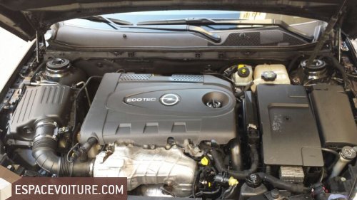 Insigna Opel