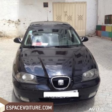 Ibiza Seat