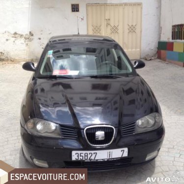 Ibiza Seat