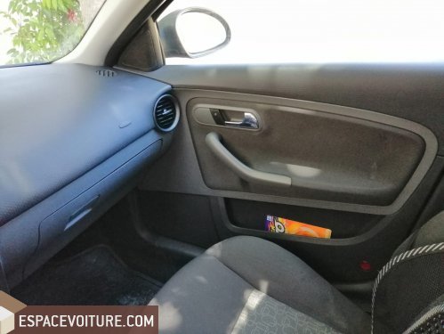Ibiza Seat