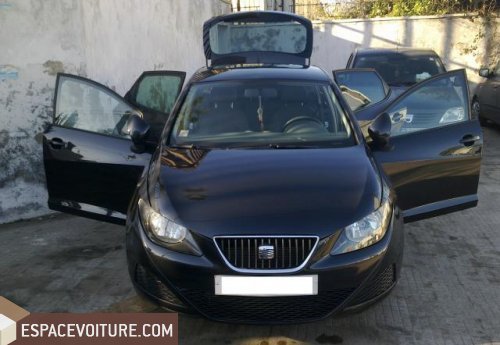 Ibiza Seat