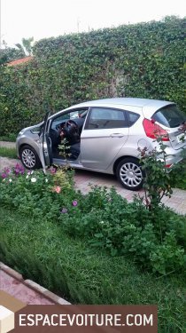 Fiesta Ford