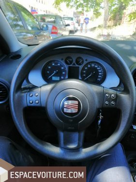 Ibiza Seat