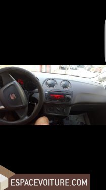 Ibiza Seat