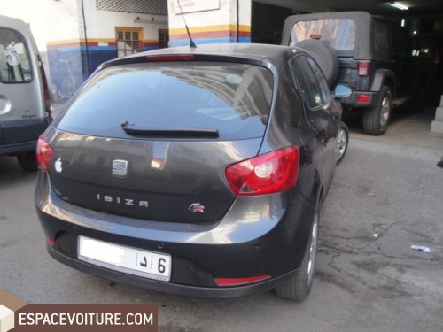 Ibiza Seat