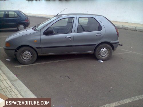Panda Fiat