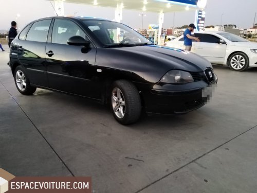 Ibiza Seat