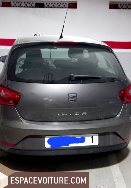 Ibiza Seat