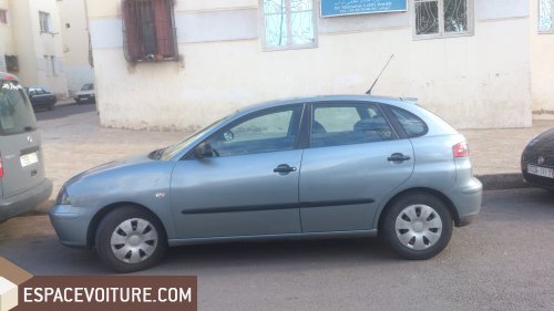 Ibiza Seat