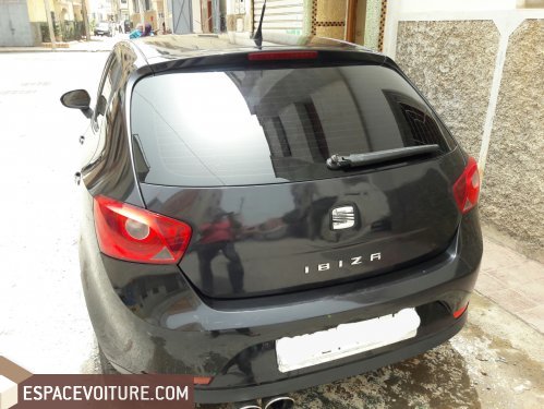 Ibiza Seat