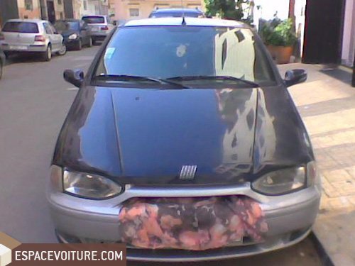 Palio Fiat