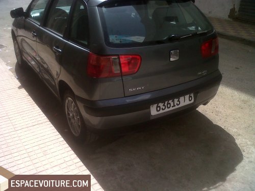 Ibiza Seat