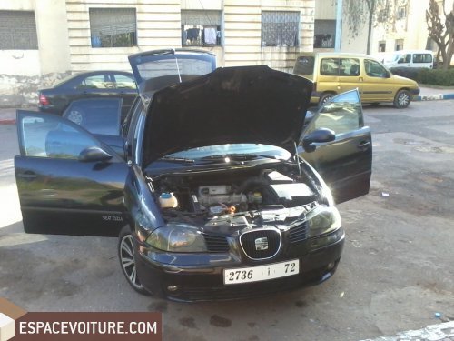 Ibiza Seat