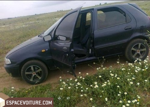 Palio Fiat