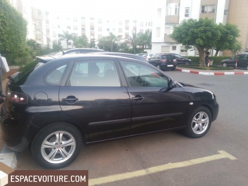 Ibiza Seat