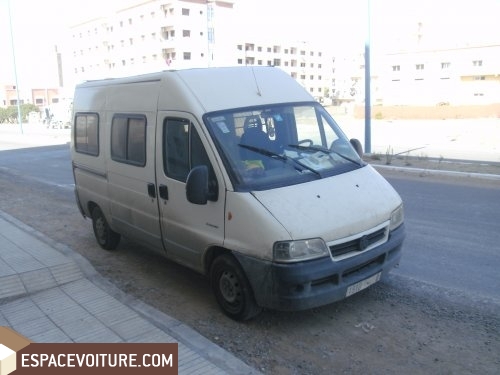 Jumper Citroen