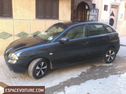Ibiza Seat