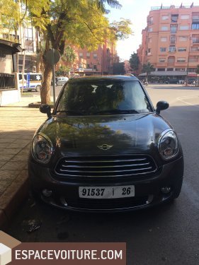 Countryman Mini
