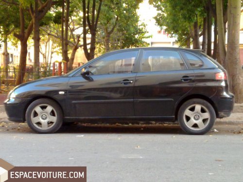 Ibiza Seat