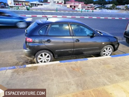 Ibiza Seat