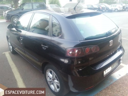 Ibiza Seat