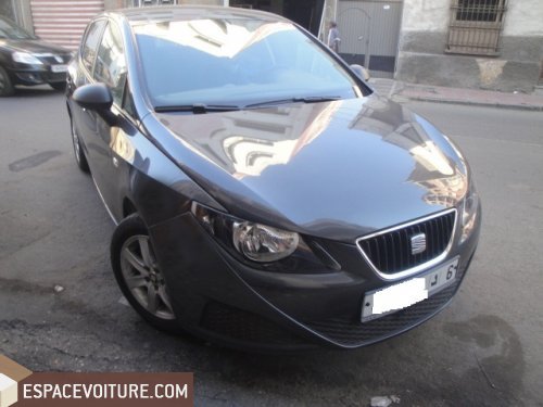 Ibiza Seat