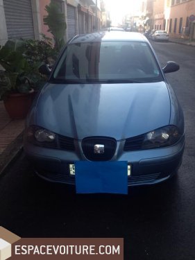 Ibiza Seat