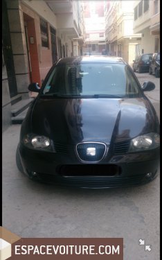Ibiza Seat