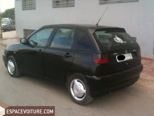 Ibiza Seat