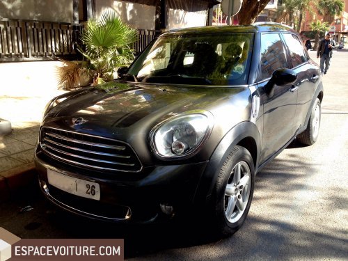 Countryman Mini