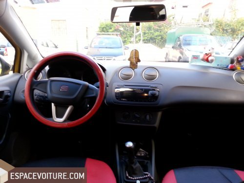 Ibiza Seat