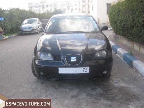 Ibiza Seat