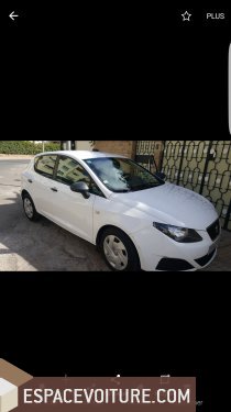 Ibiza Seat