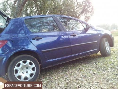 307 Peugeot