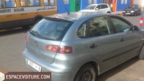 Ibiza Seat