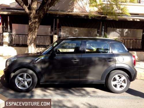 Countryman Mini