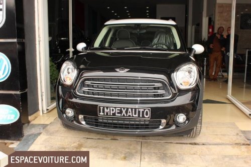 Countryman Mini
