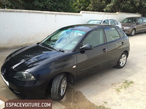 Ibiza Seat