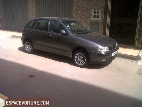 Ibiza Seat