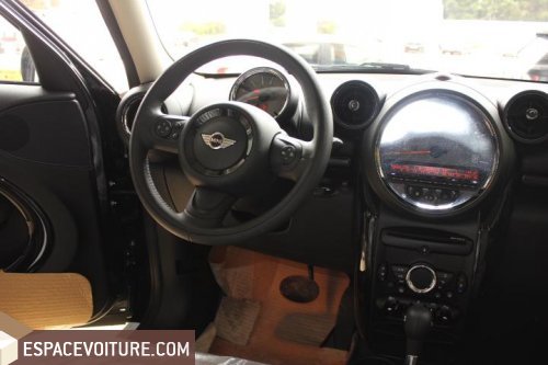 Countryman Mini