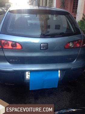 Ibiza Seat
