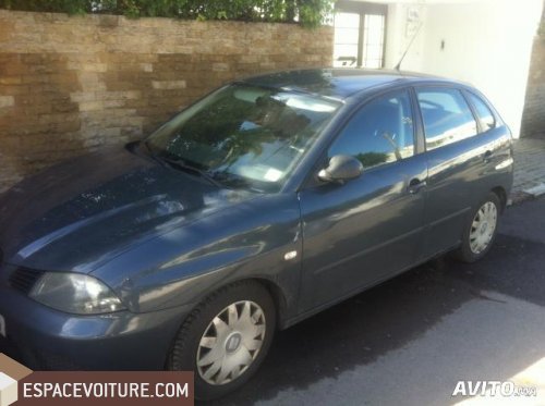 Ibiza Seat